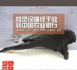 华体会登陆